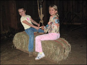 hay_bale_swing_320